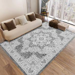Area Rug