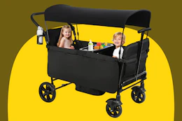 stroller wagon