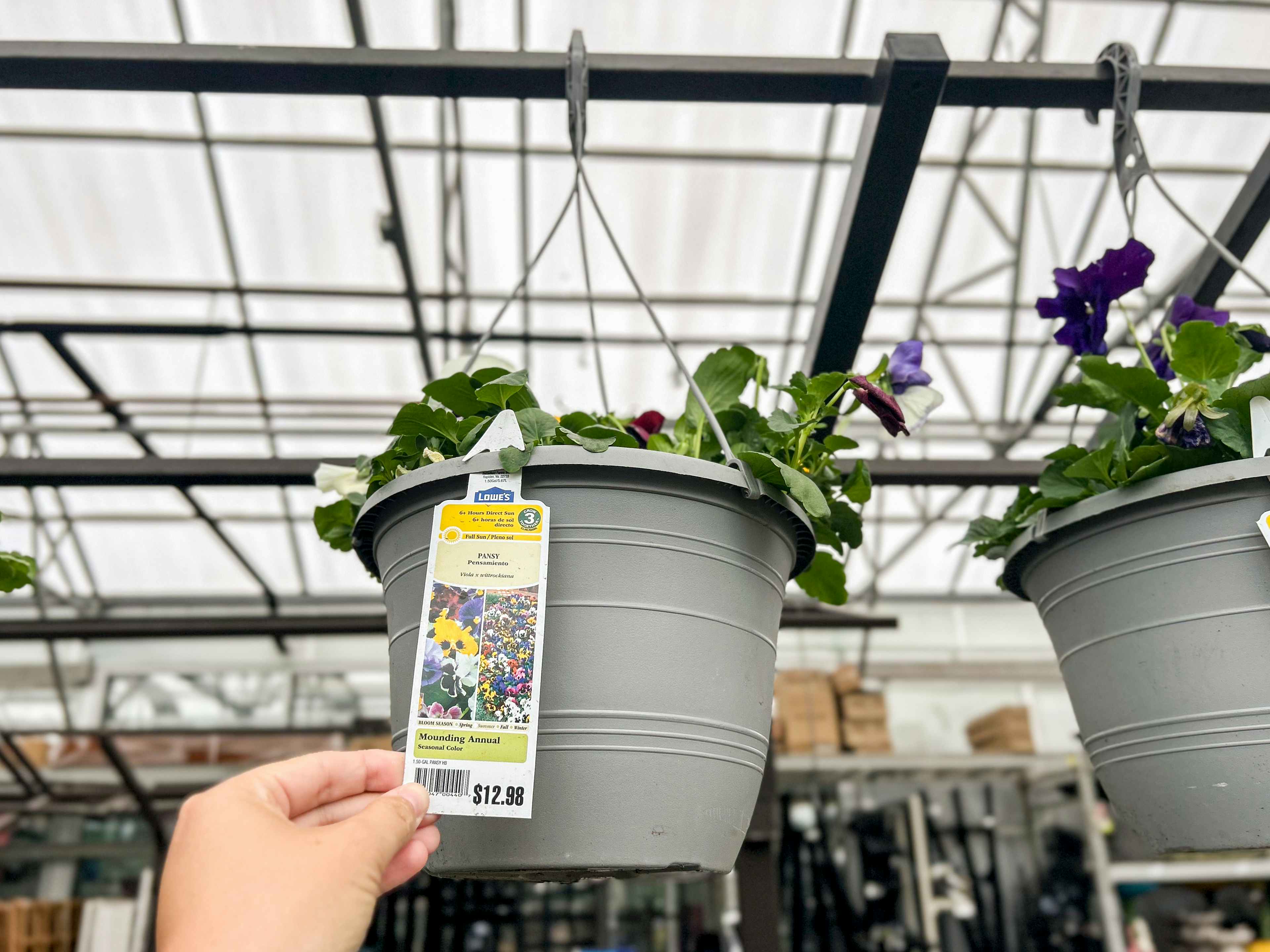 lowes-hanging-basket-hand-kcl