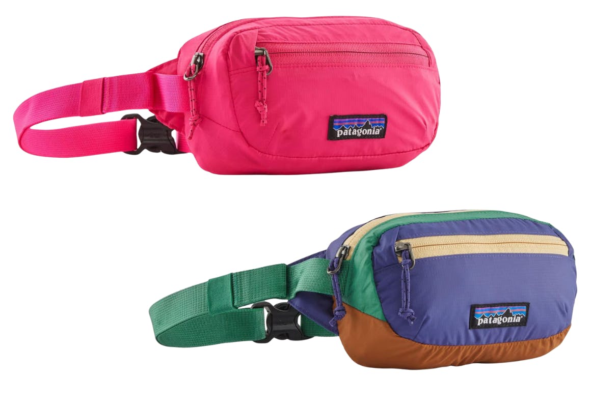 Patagonia Hip Pack