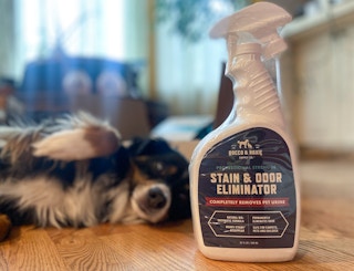 A cute dog laying next to Rocco and Roxie pet stain remover