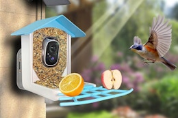 Bird Feeder With Camera, Only $29.99 on Amazon (Reg. $130) card image