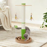 Cat Scratching Post