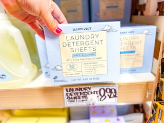 trader-joes-jan-finds-12