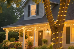 B0CRR4K9CF Rope Lights