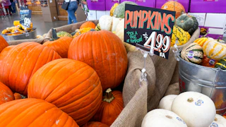 trader-joes-sept-5