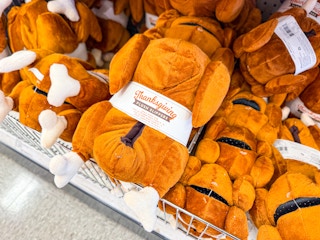 target-dollar-spot-oct-2025-4