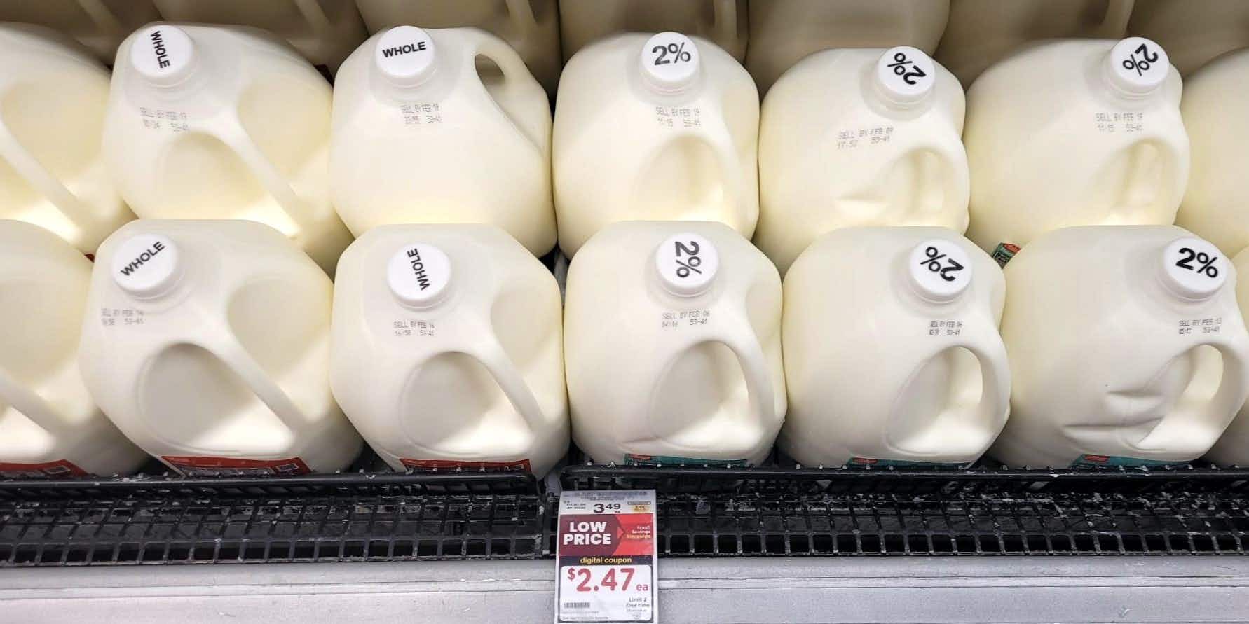 gallons of milk at safeway