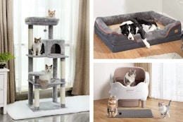 Pet Deals at AliExpress