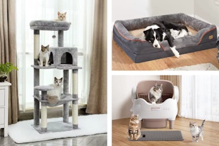 Pet Deals at AliExpress