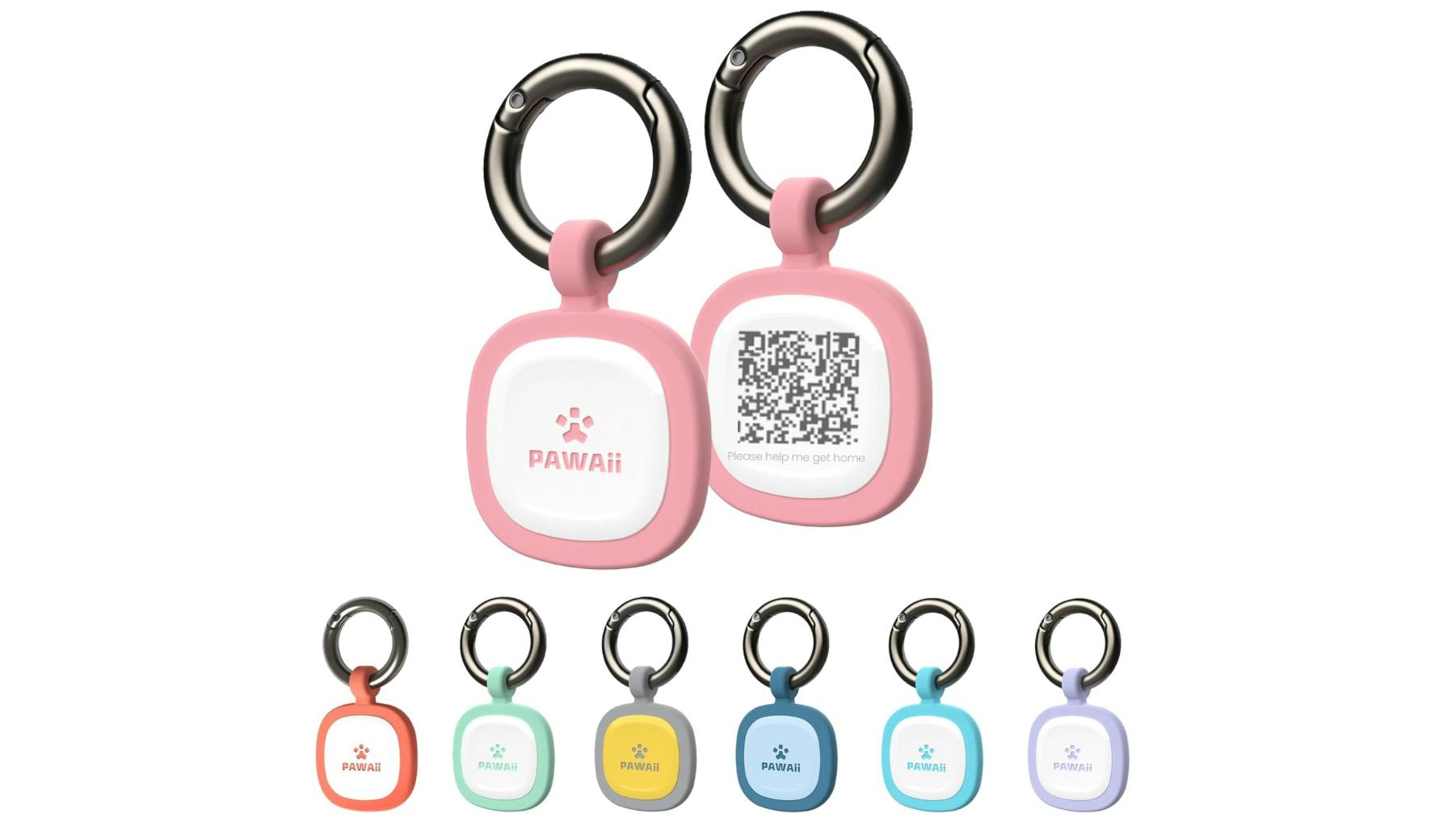 Pet ID Tag