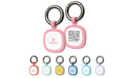 Pet ID Tag