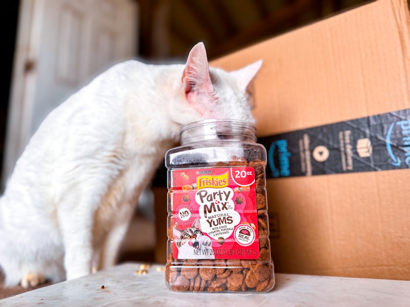 amazon-pet-day-purina-friskies-cat-treats-1