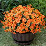 Artificial Faux Flowers