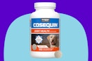 Nutramax Cosequin for Dogs Joint Health Supplement on a blue background.