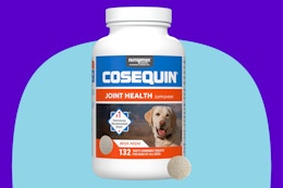 Nutramax Cosequin for Dogs Joint Health Supplement on a blue background.