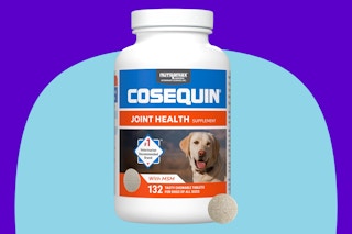 Nutramax Cosequin for Dogs Joint Health Supplement on a blue background.