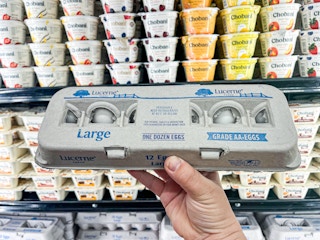 img 7744 1686158935 1686158935