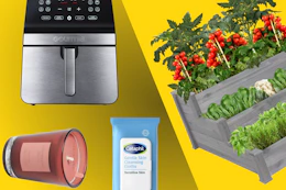 Gourmia air fryer, Threshold candle, Cetaphil cleansing cloths, raised garden bed