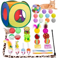 Cat Toy Set