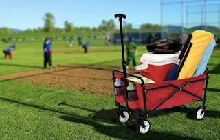 walmart seina folding utility wagon 2022 1655132173 1655132173