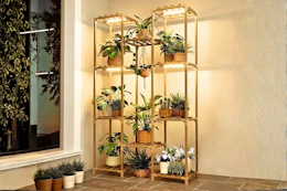 Lifestyle image of a wooden plant stand with growing lights holding 10 plants