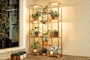 Lifestyle image of a wooden plant stand with growing lights holding 10 plants
