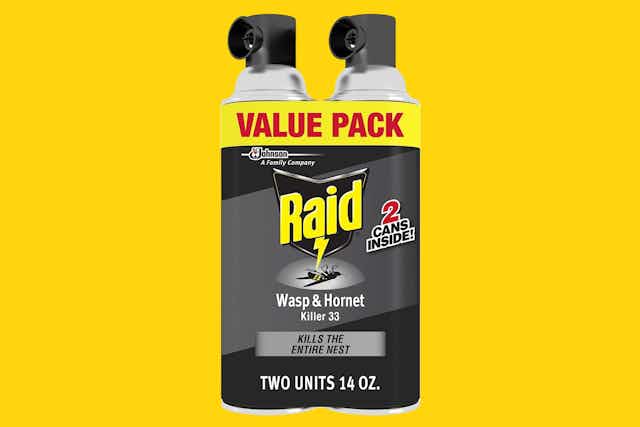 Raid Wasp & Hornet Killer Spray 2-Pack, as Low as $7.20 on Amazon  card image