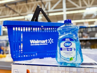 Dial Handsoap Refill next to Walmart shopping basket