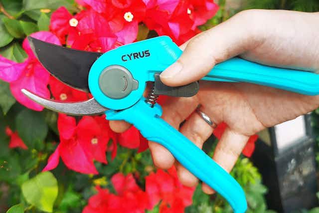 Get an 8-Inch Pair of Pruning Shears for Only $8 on Amazon card image
