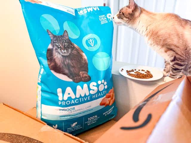 New Amazon Pet Deals — Clip Trending Coupons on Iams, Pedigree, and More card image