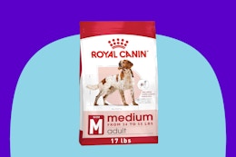 Royal Canin Dog Food Medium 17 lb bag