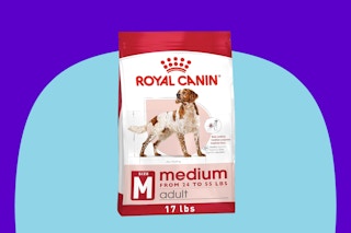 Royal Canin Dog Food Medium 17 lb bag