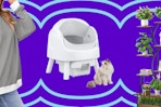 women's sweatshirt, automatic litter box, and plant stand