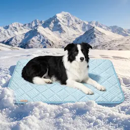 Waterproof Cooling Mat