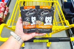 Better-Than-Free Cesar Wet Dog Food Pouch at Dollar General card image