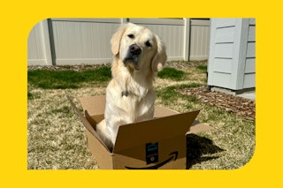 amazon-pet-deals-11