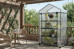 woot-mini-greenhouses-1