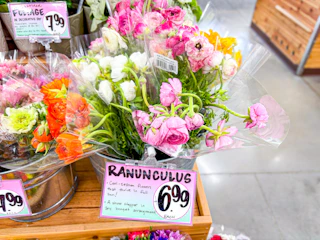 trader-joes-flowers-5