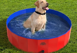 qvc dog pool