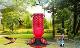 a red hummingbird feeder outside