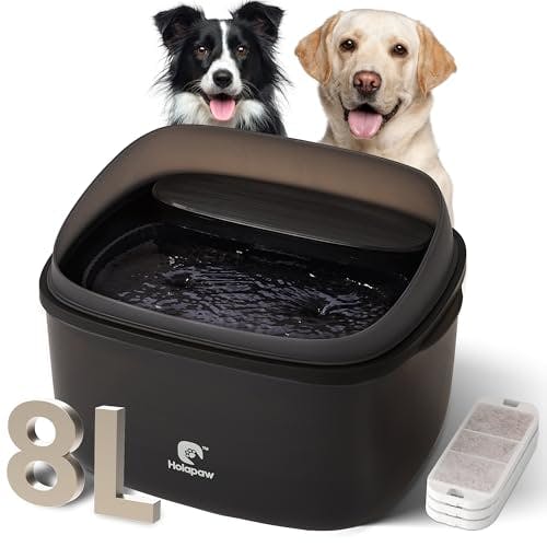 Dog Water Fountain