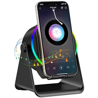 Wireless Induction Speaker