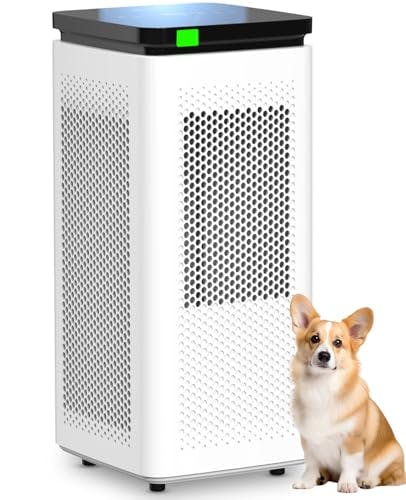 Air Purifier