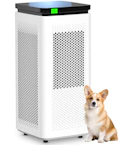 Air Purifier