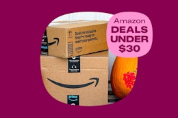 amazon deals under $30