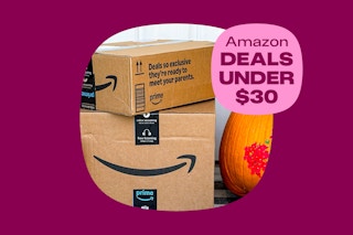 amazon deals under $30