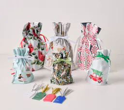 Kringle Express Gift Bags Set