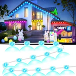 Permanent Outdoor Lights