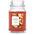 Yankee Candle Large Jar Candle